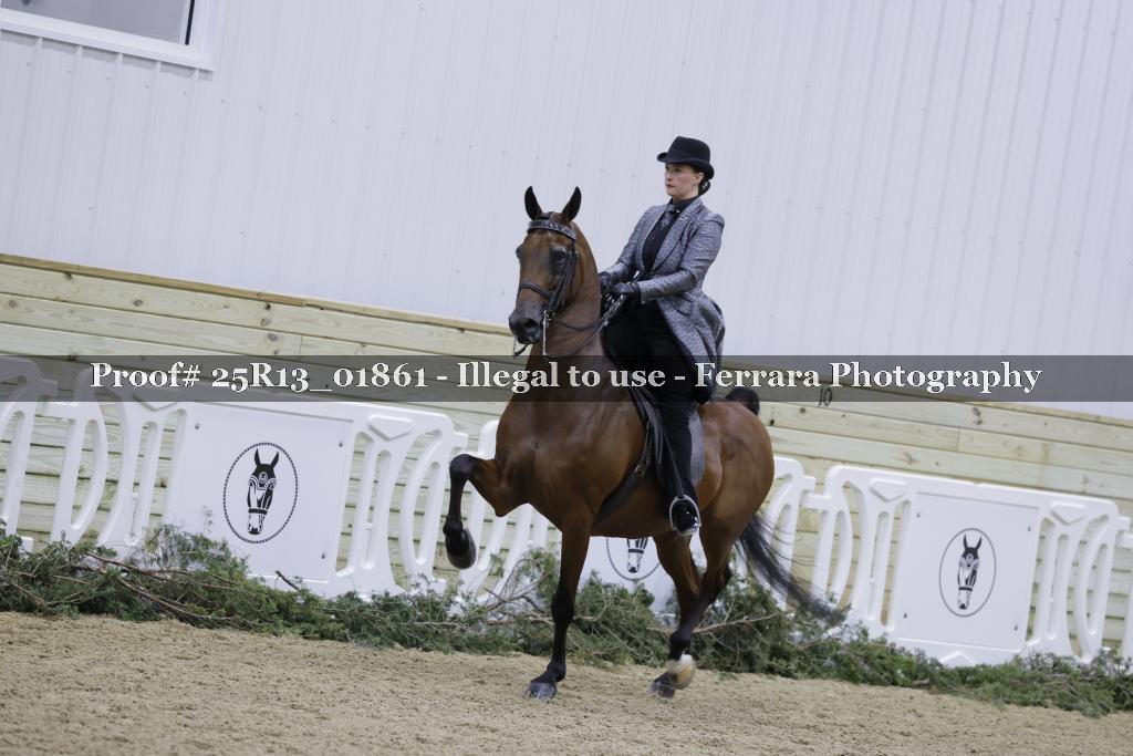 Proof 25R13_01861