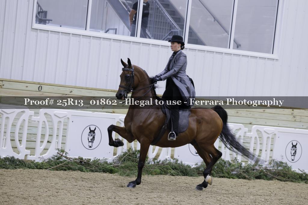 Proof 25R13_01862