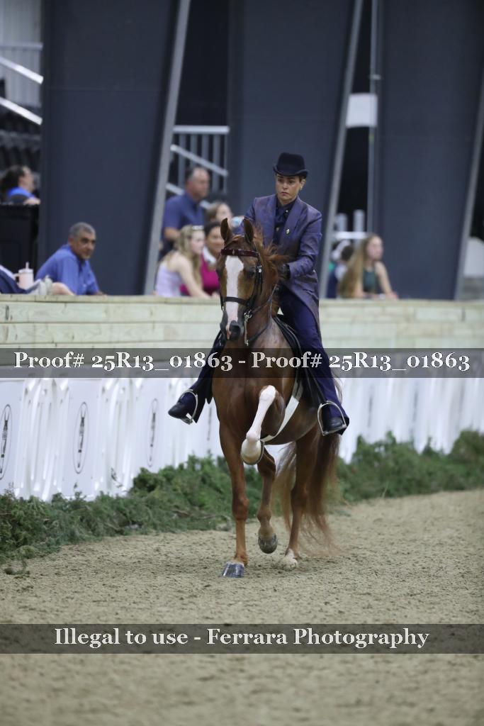 Proof 25R13_01863