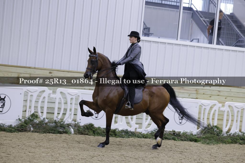 Proof 25R13_01864