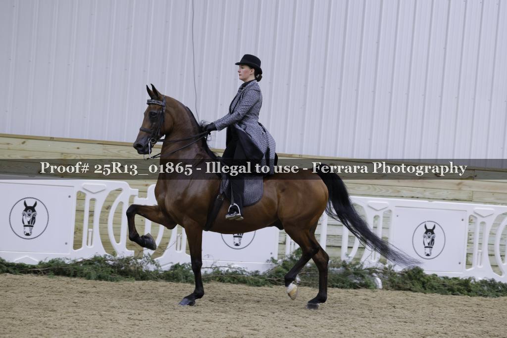 Proof 25R13_01865