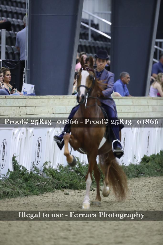 Proof 25R13_01866