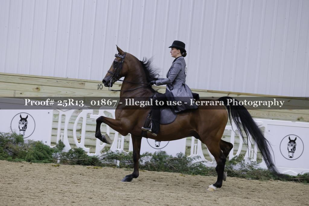 Proof 25R13_01867