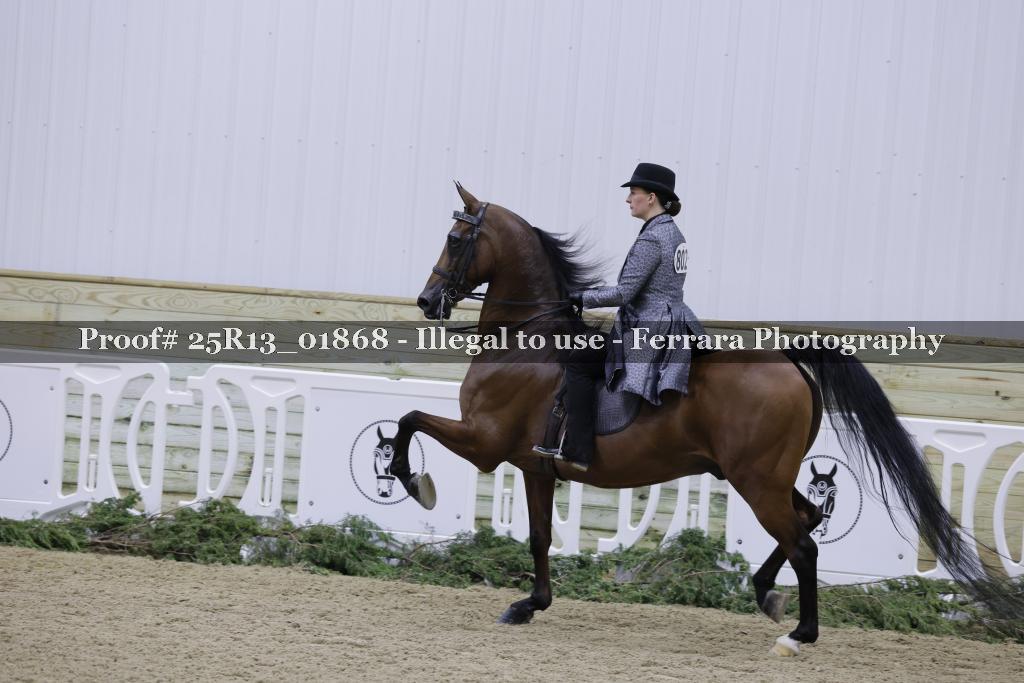 Proof 25R13_01868