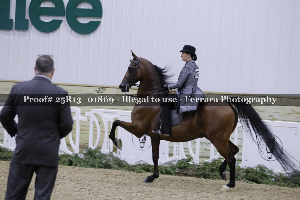 Proof 25R13_01869
