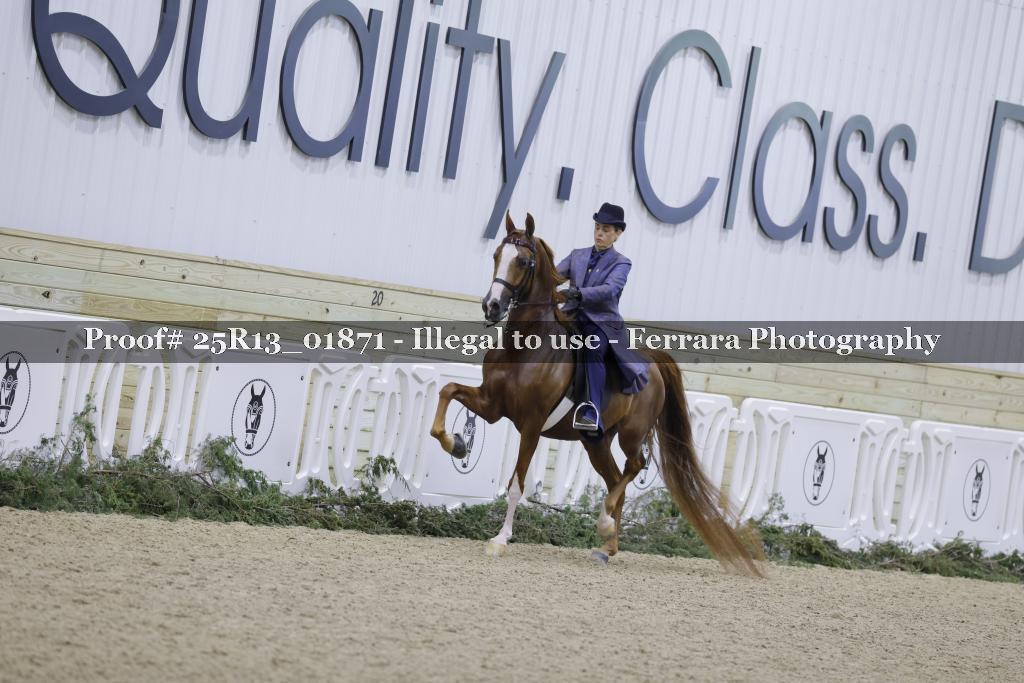 Proof 25R13_01871