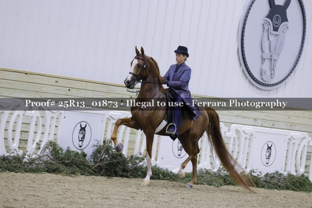 Proof 25R13_01873