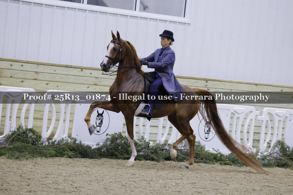 Proof 25R13_01874