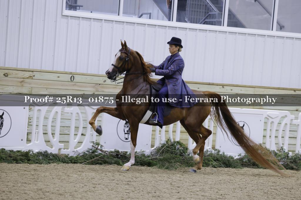 Proof 25R13_01875