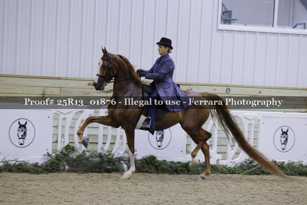 Proof 25R13_01876