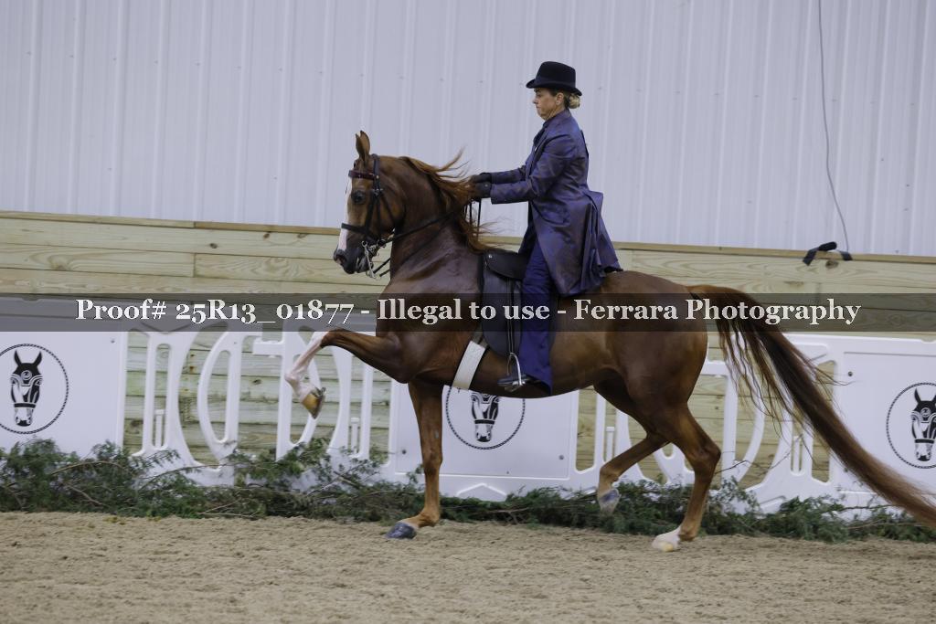 Proof 25R13_01877