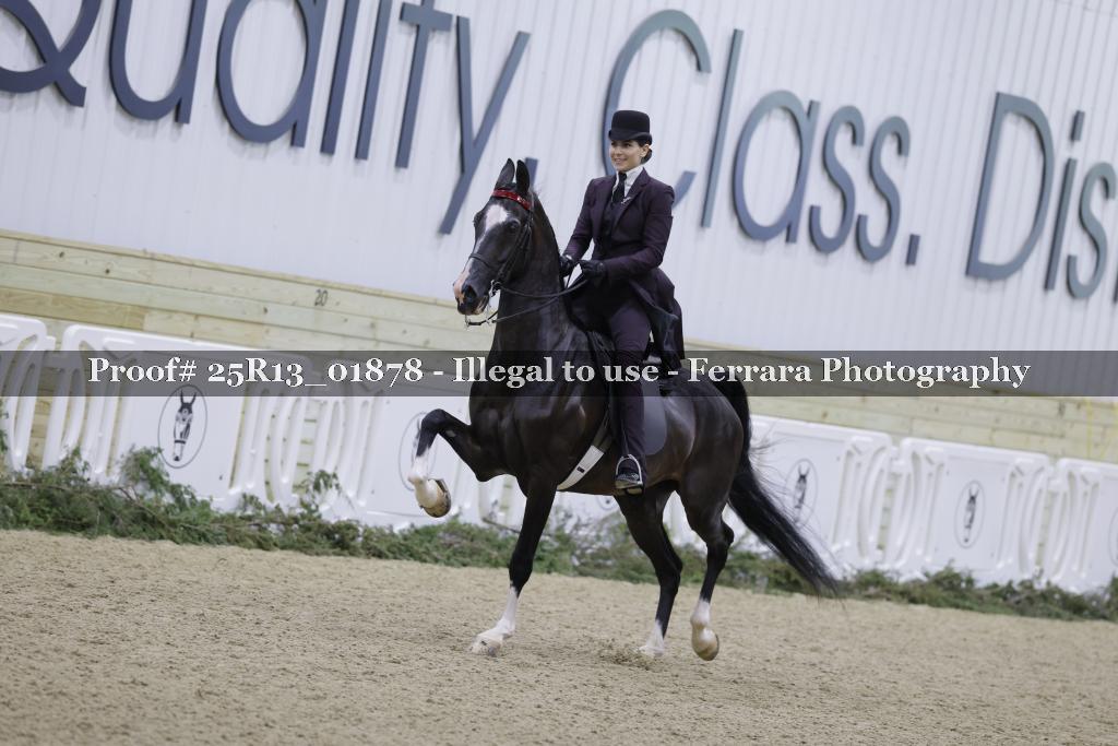 Proof 25R13_01878