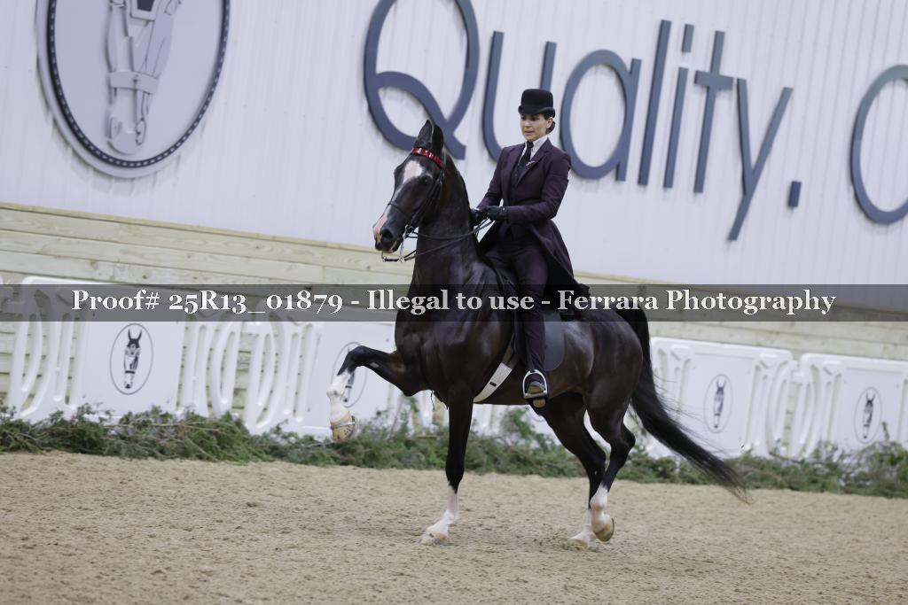Proof 25R13_01879