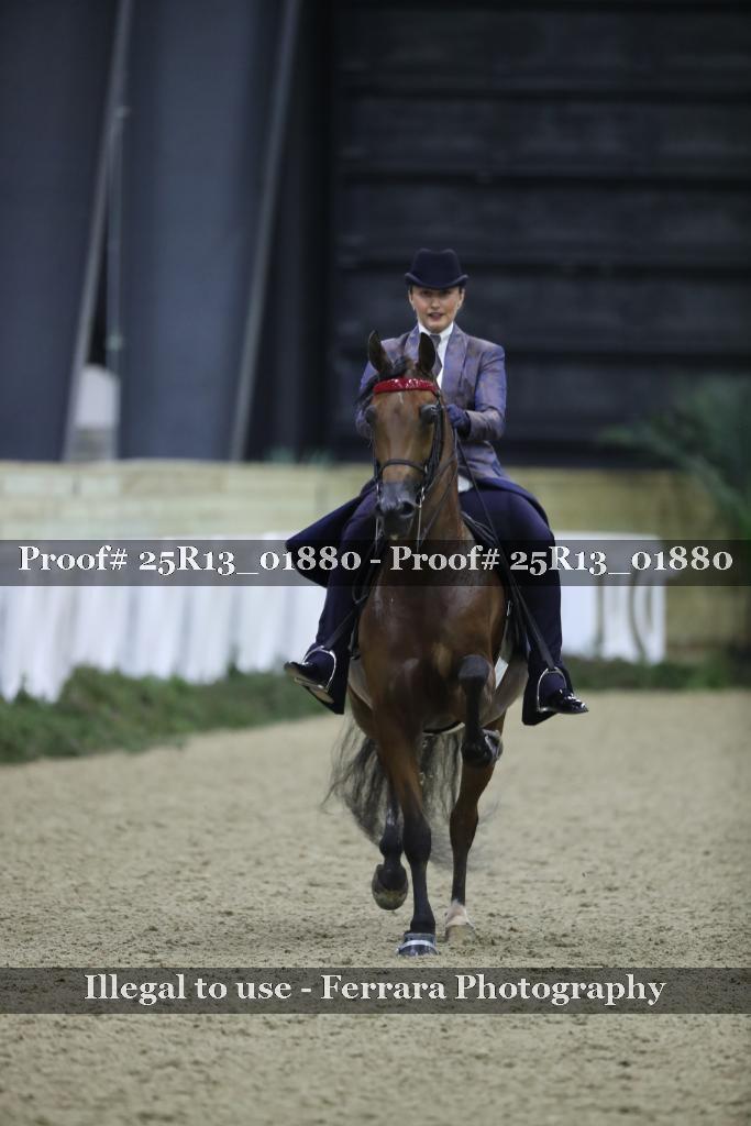 Proof 25R13_01880