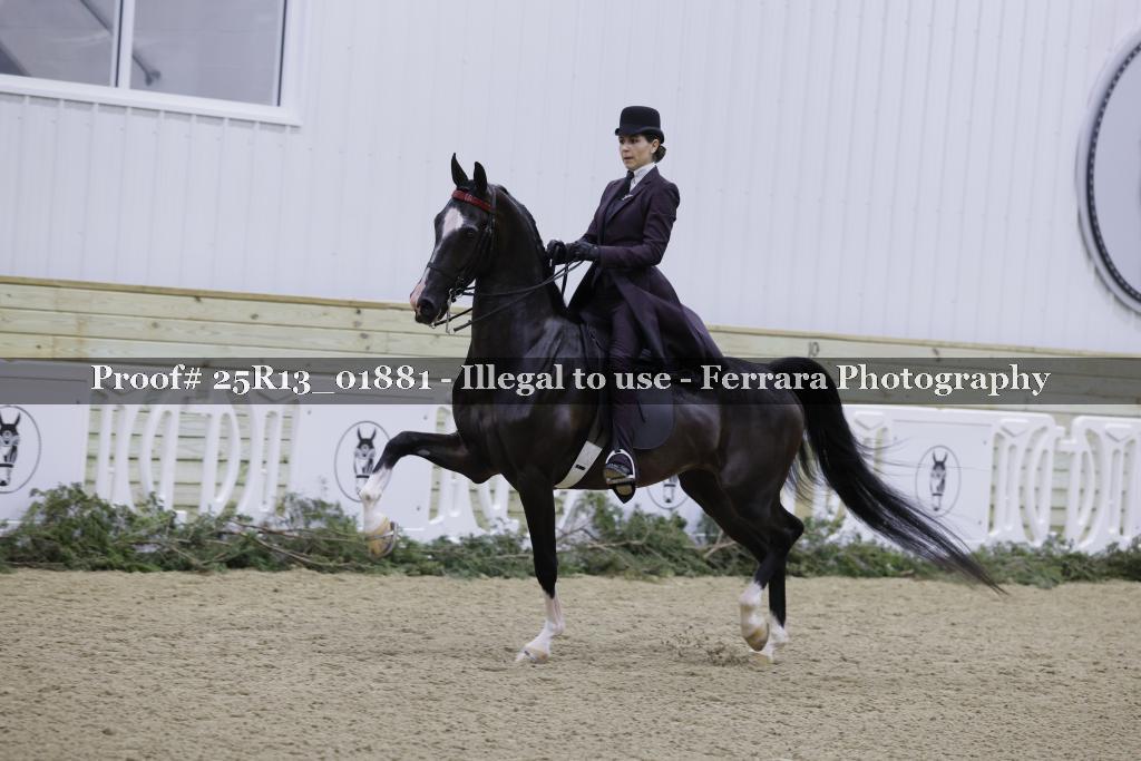 Proof 25R13_01881