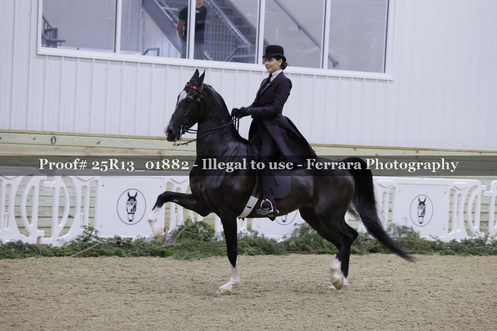 Proof 25R13_01882