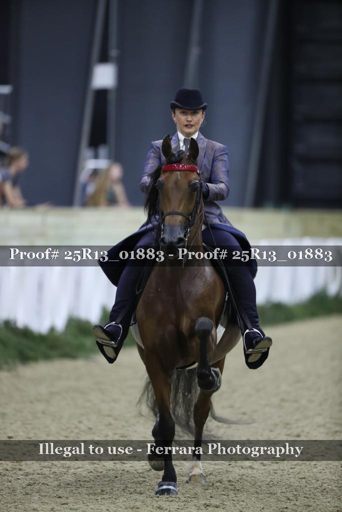 Proof 25R13_01883