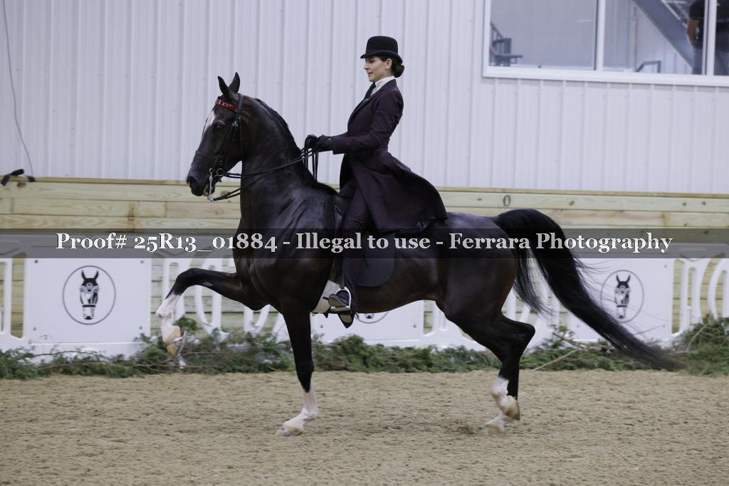 Proof 25R13_01884