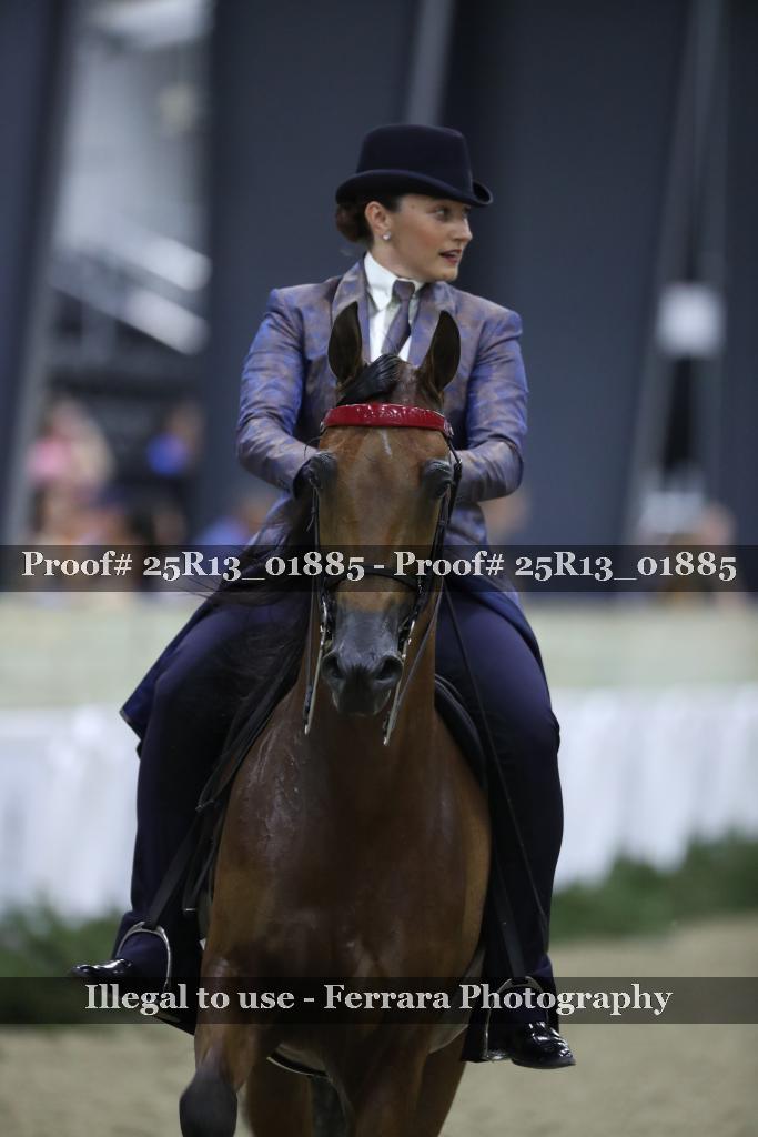 Proof 25R13_01885