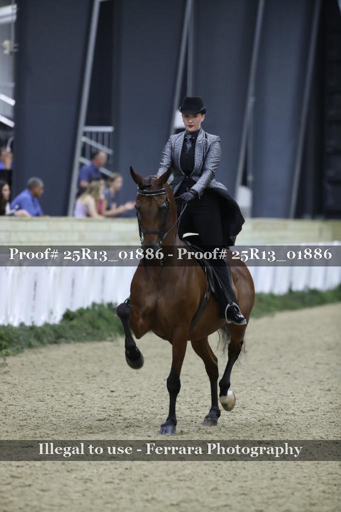 Proof 25R13_01886