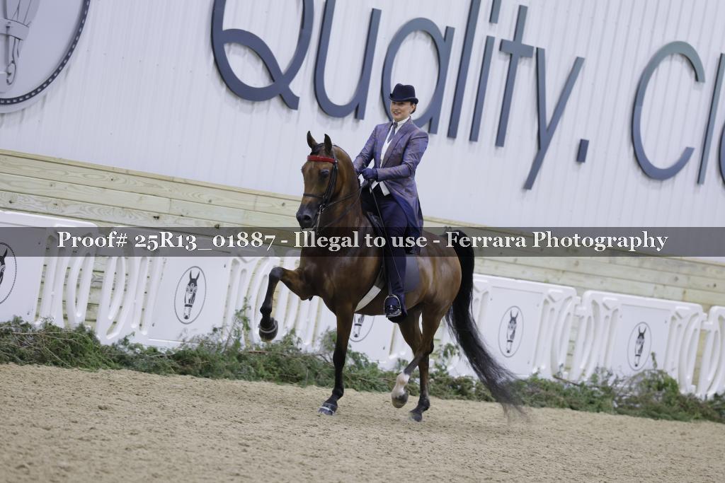 Proof 25R13_01887