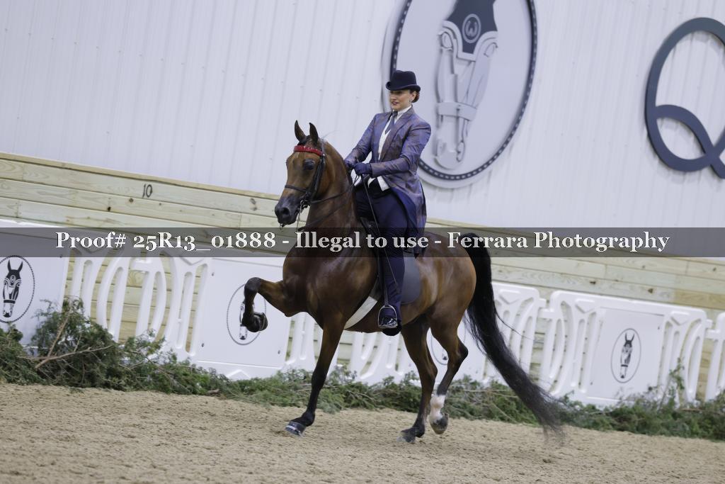 Proof 25R13_01888