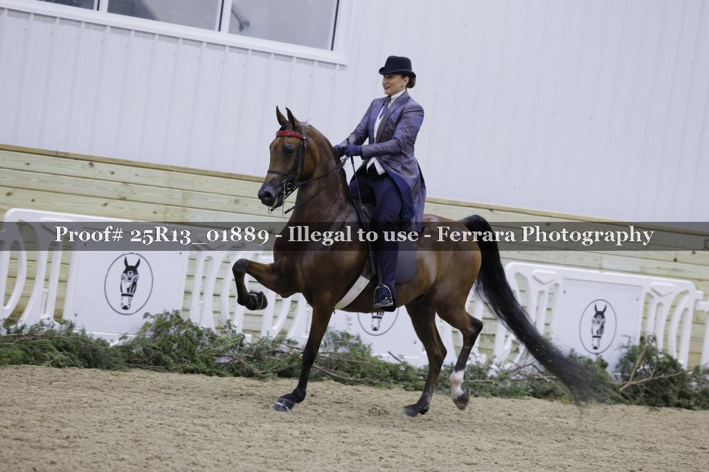 Proof 25R13_01889