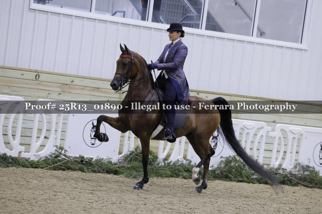 Proof 25R13_01890