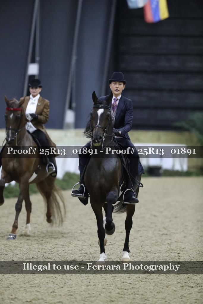 Proof 25R13_01891