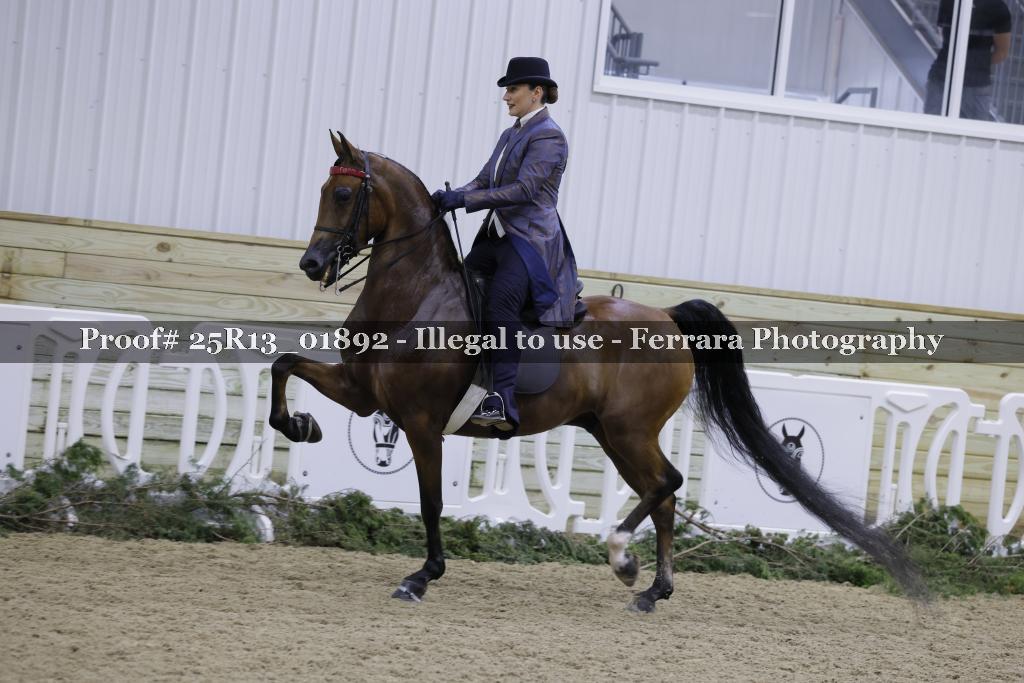 Proof 25R13_01892