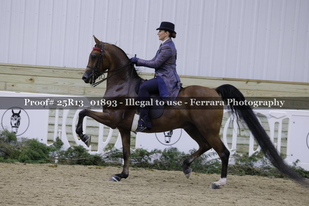 Proof 25R13_01893