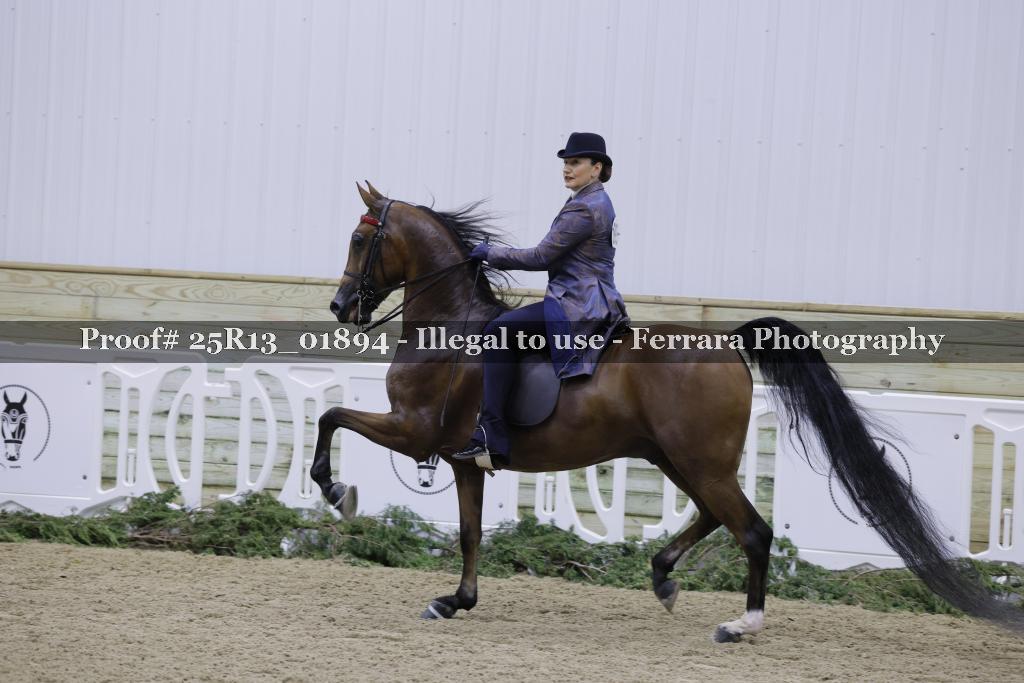 Proof 25R13_01894