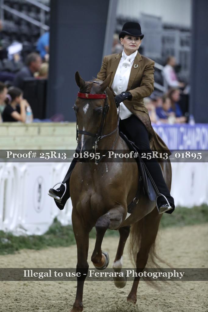 Proof 25R13_01895