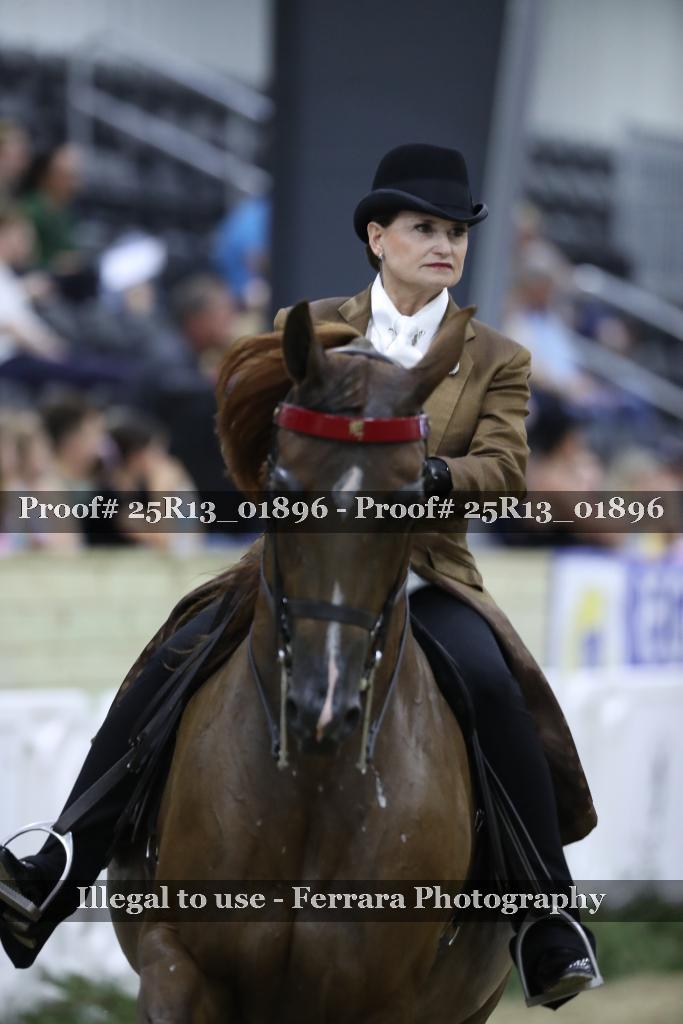 Proof 25R13_01896