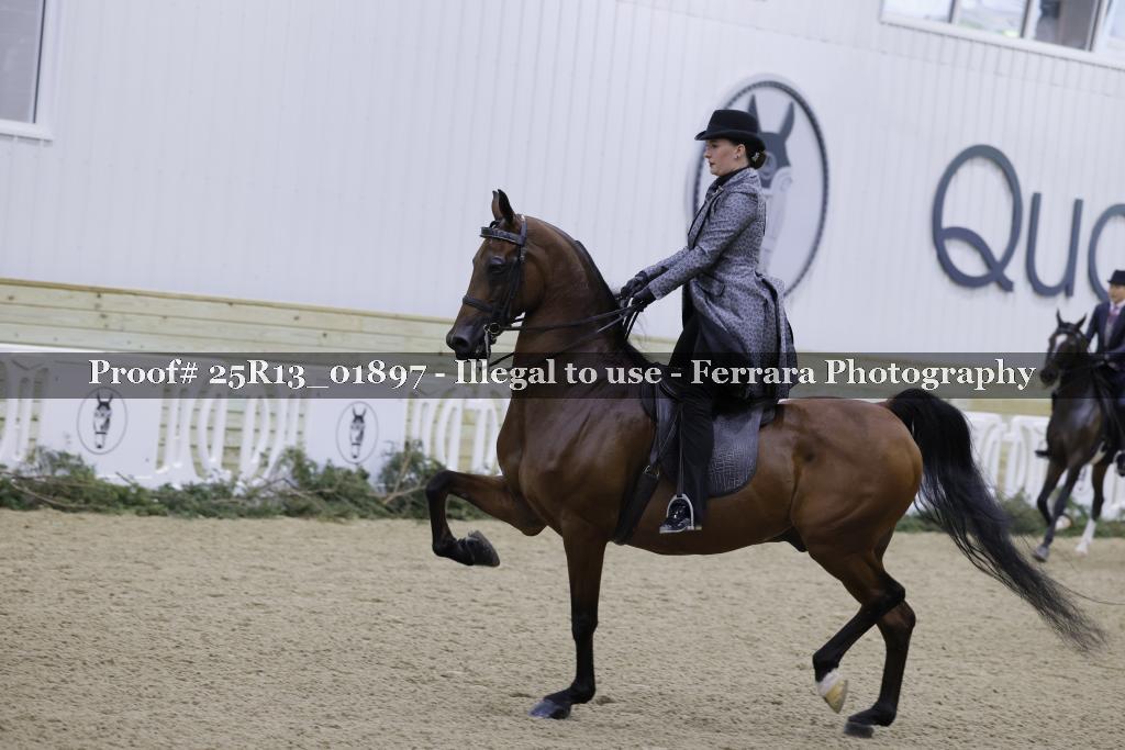 Proof 25R13_01897