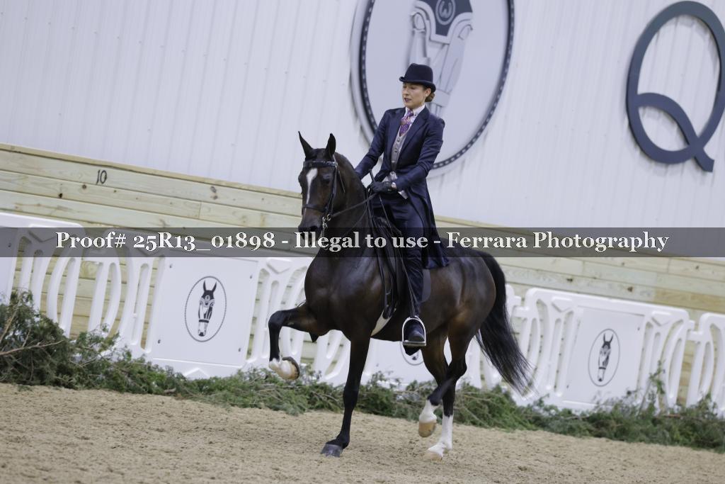 Proof 25R13_01898