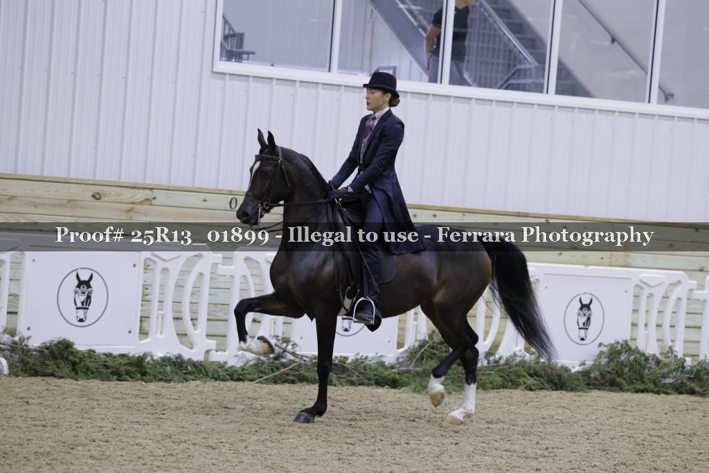 Proof 25R13_01899