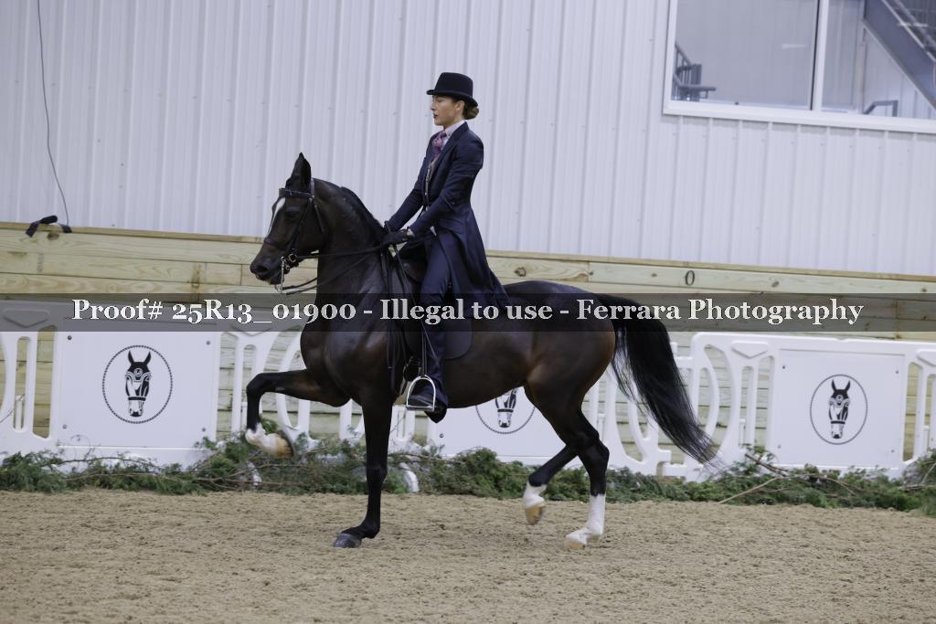 Proof 25R13_01900