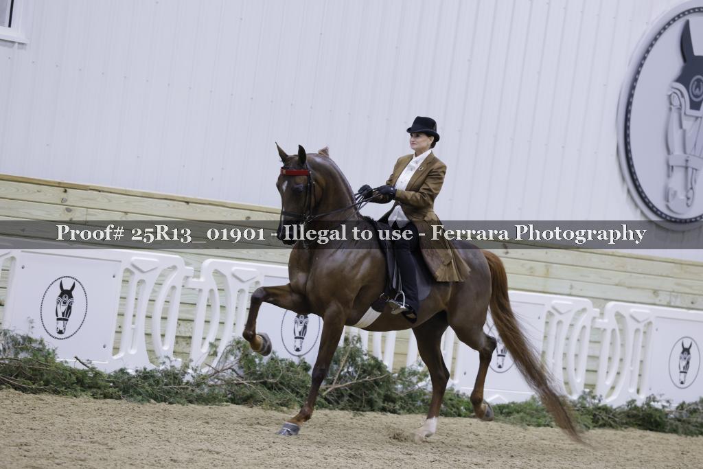 Proof 25R13_01901