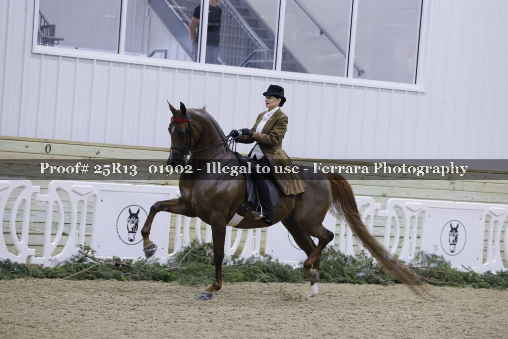 Proof 25R13_01902