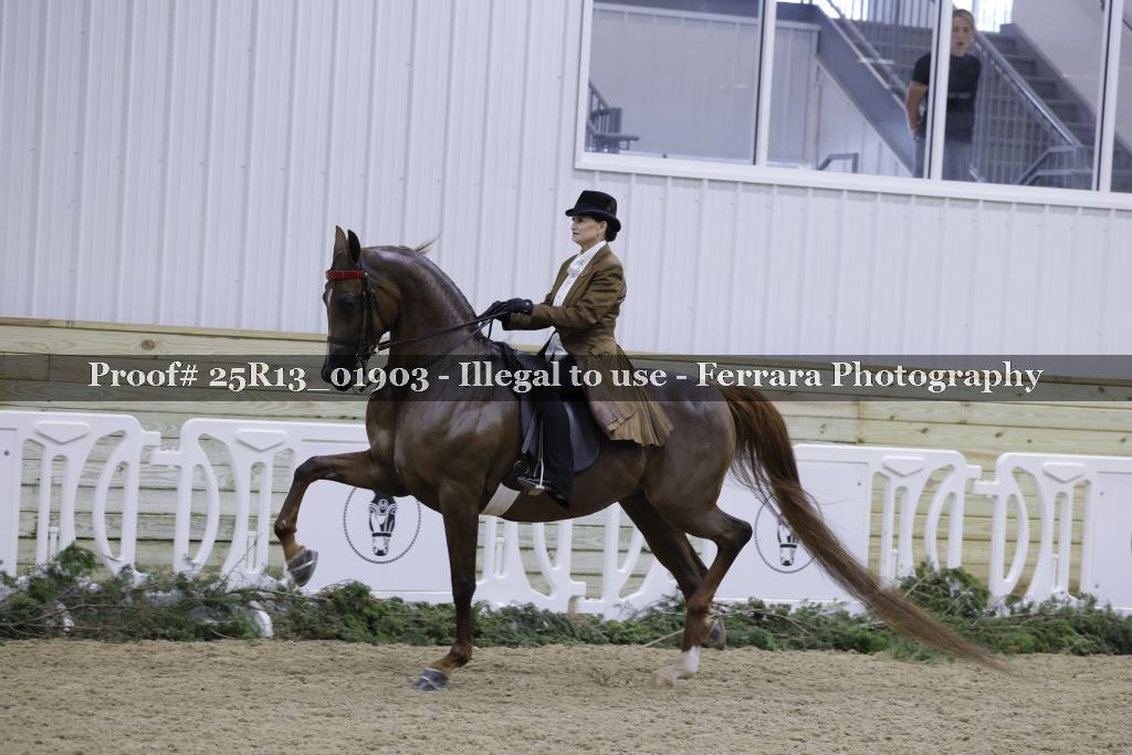 Proof 25R13_01903