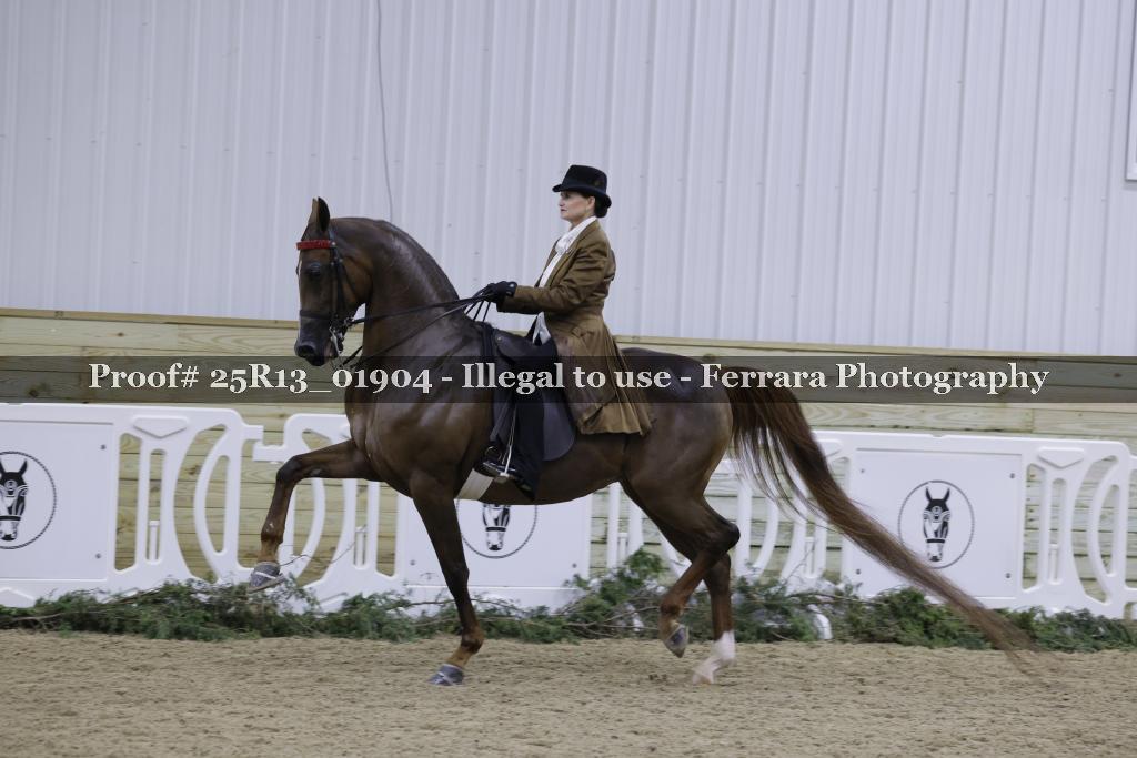 Proof 25R13_01904