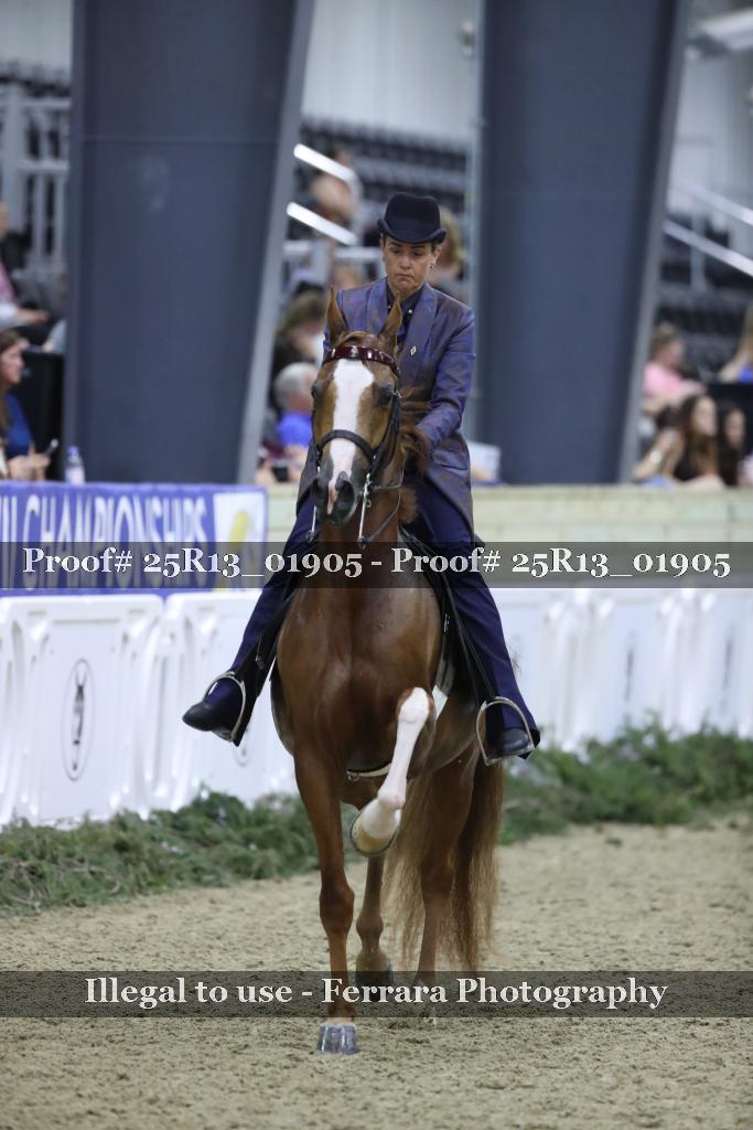 Proof 25R13_01905