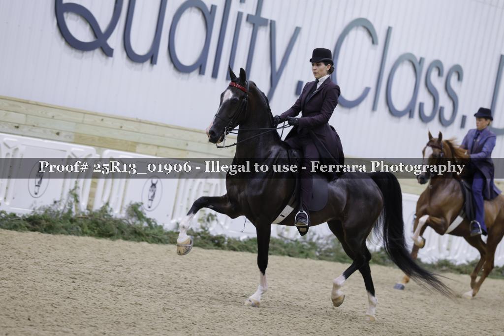 Proof 25R13_01906