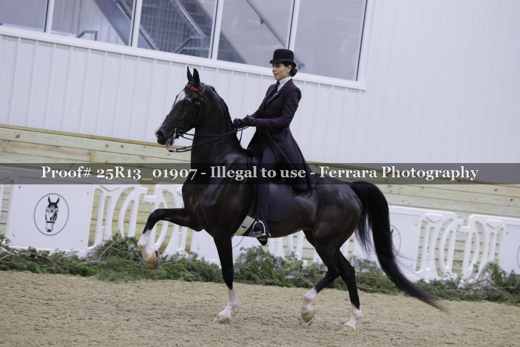 Proof 25R13_01907