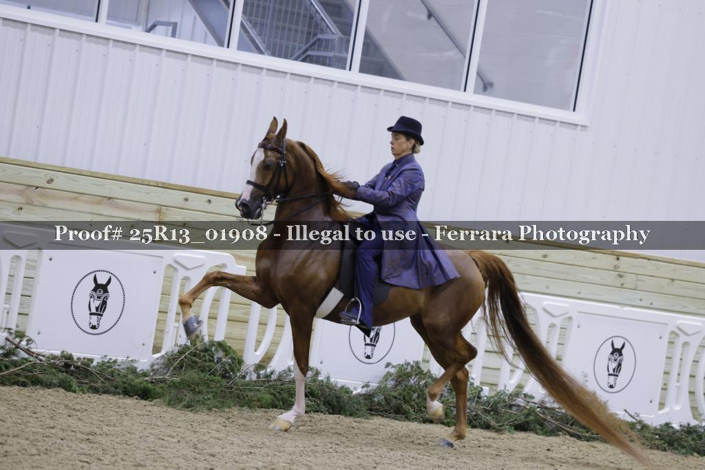 Proof 25R13_01908