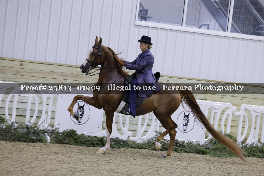Proof 25R13_01909