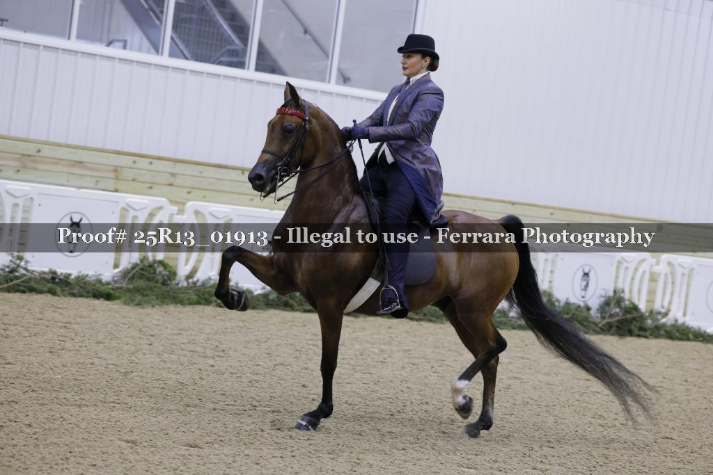 Proof 25R13_01913