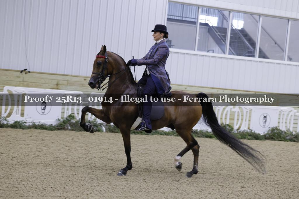 Proof 25R13_01914