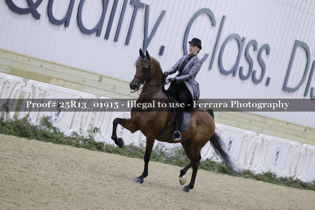 Proof 25R13_01915